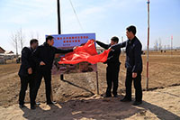 ��ƶ����