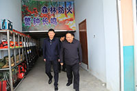 ѧϰ�͵���֯���Ż������